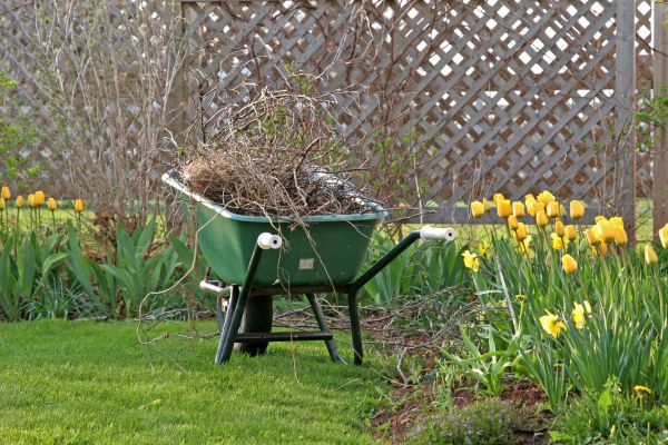 Flower Bed Cleanup Service in Turlock