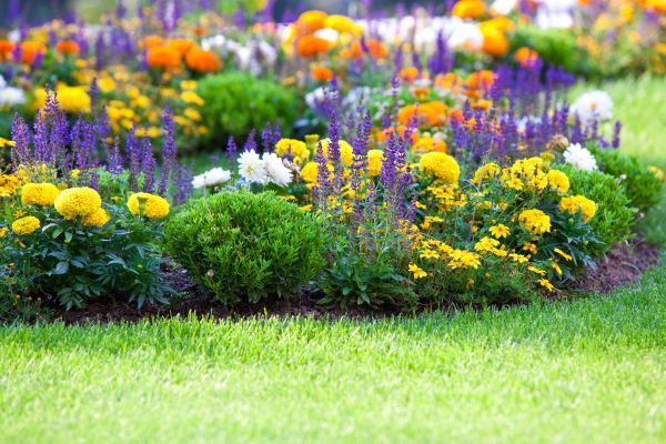 Flower Bed Maintenance in Turlock