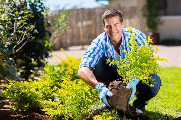 Bush Planting Service in Turlock