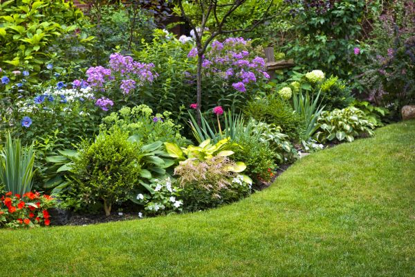 Flower Bed Service in Turlock