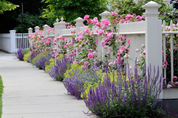 Garden Handyman Service in Turlock