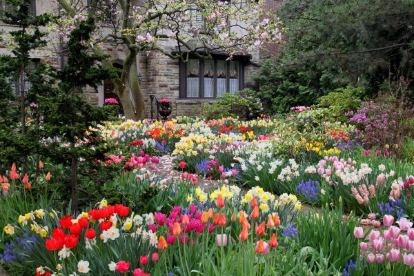 Garden Maintenance Service in Turlock