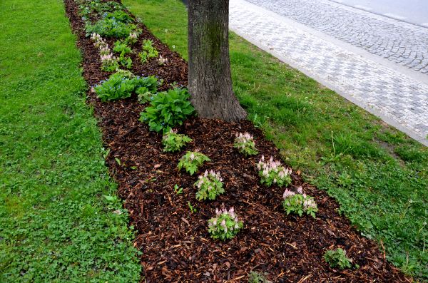Mulch Replacement Service in Turlock