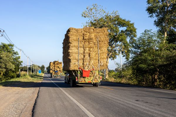 Pine Straw Delivery in Turlock