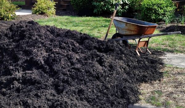 Black Mulch Delivery in Turlock