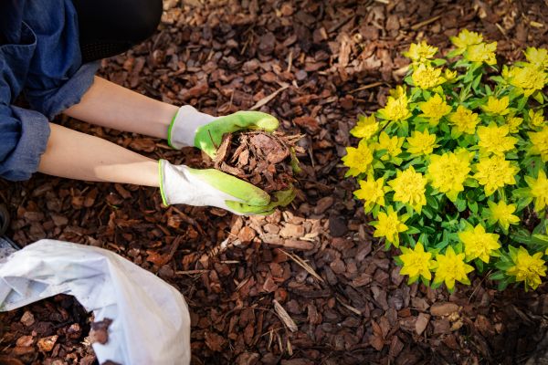 Garden Mulching in Turlock