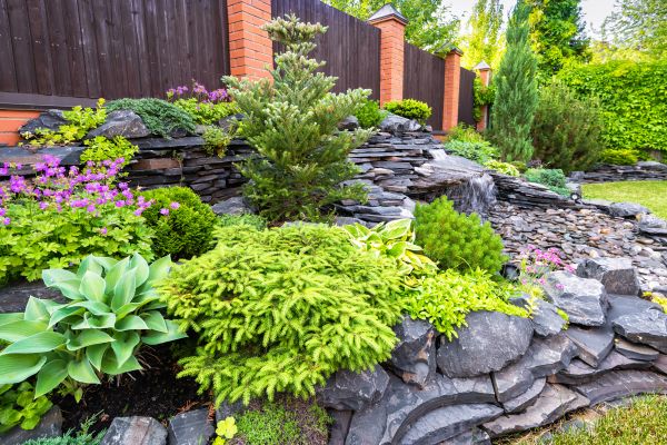 Landscape Remodeling in Turlock