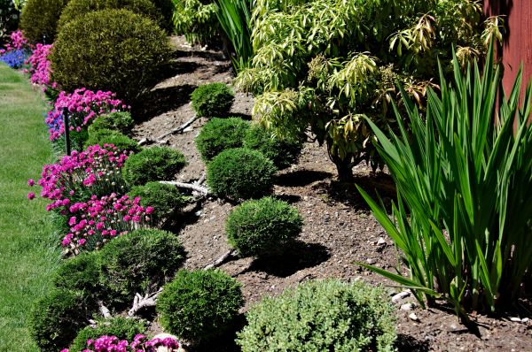 Residential Gardening in Turlock