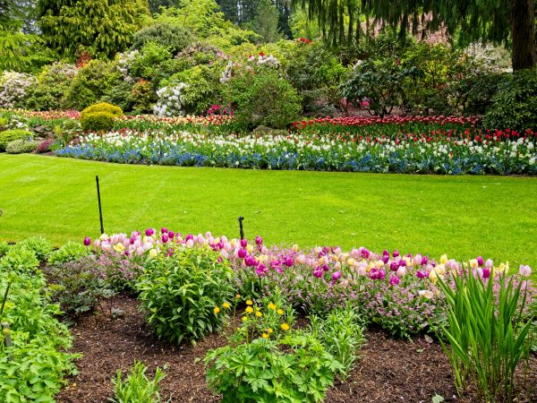 Residential Landscape Design in Turlock