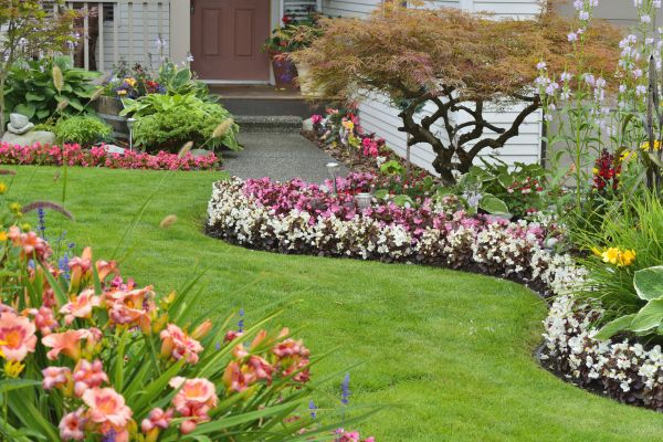Perennial Landscaping in Turlock