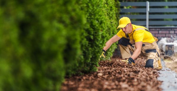 Cypress Mulch Installation in Turlock