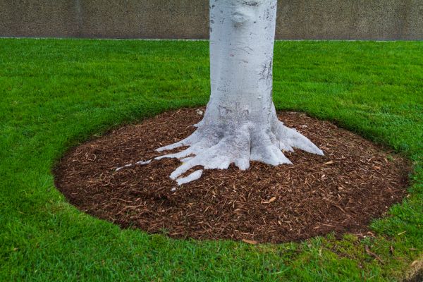 Brown Mulch Installation in Turlock