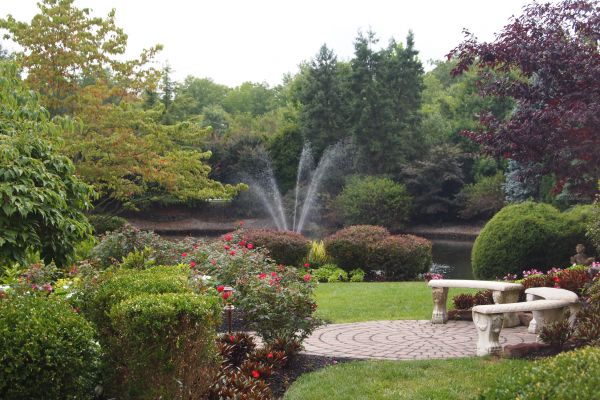 Courtyard Design Service in Turlock