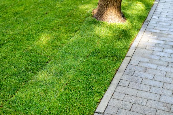 Border Stone Installation in Turlock