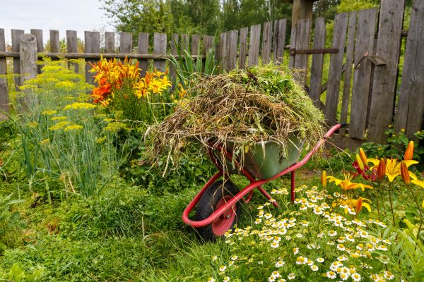 Garden Cleanup Service in Turlock