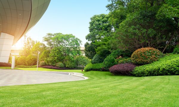 Business Landscape Design in Turlock