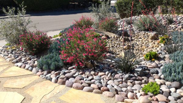 Xeriscape Landscaping in Turlock