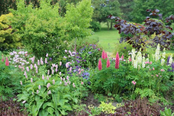 Flower Bed Planting in Turlock