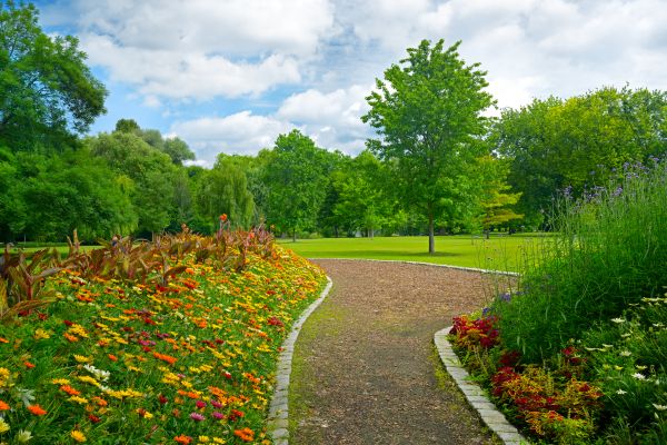 Park Landscaping in Turlock
