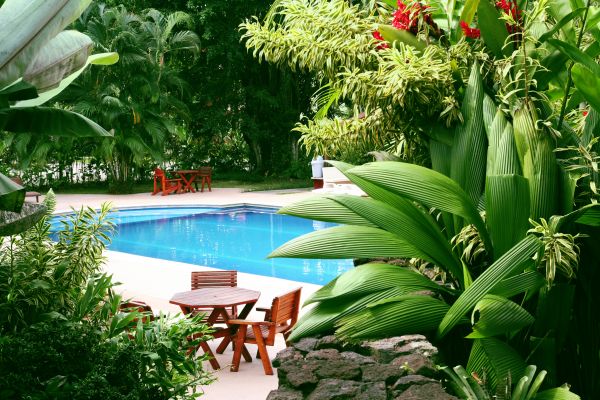 Tropical Garden Landscaping in Turlock
