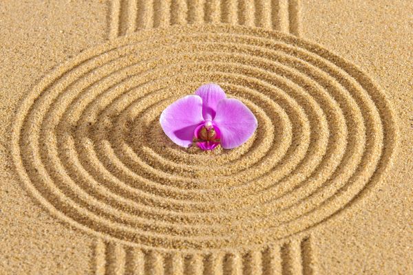 Sand Garden Landscaping in Turlock
