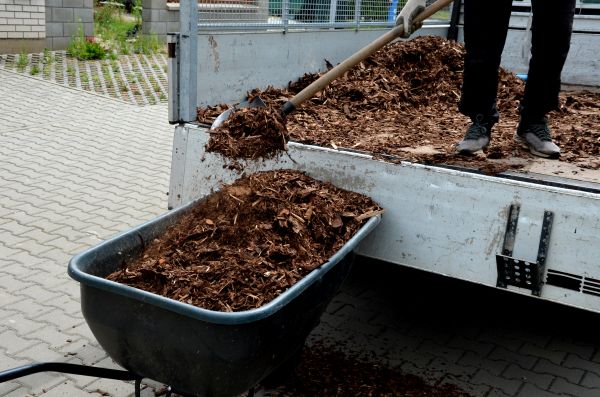 Cypress Mulch Delivery in Turlock