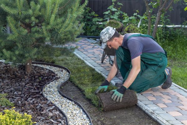 Landscaping Modification in Turlock