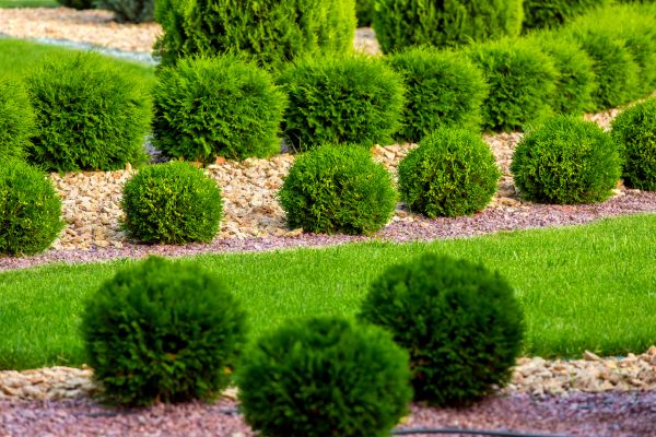 Bush Installation in Turlock