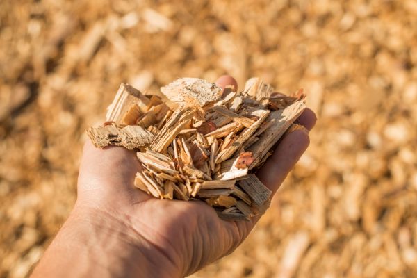 Wood Chips Spreading in Turlock