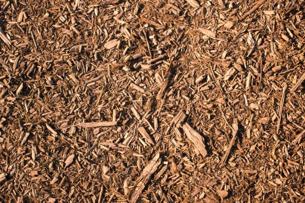 Wood Chips Removal in Turlock