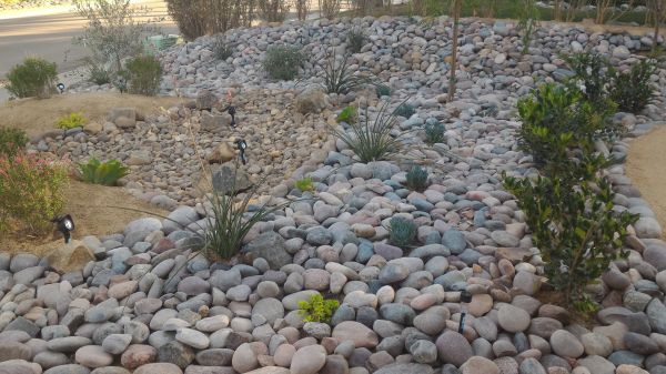 Yard Xeriscaping in Turlock