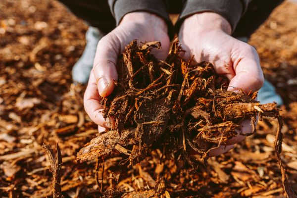 Bark Chips Delivery in Turlock
