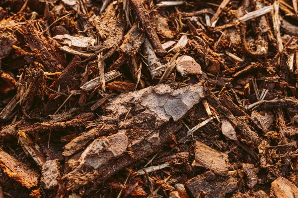 Bark Mulch Delivery in Turlock