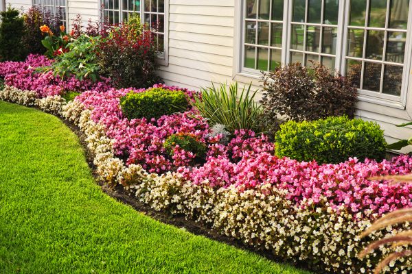 House Landscaping in Turlock