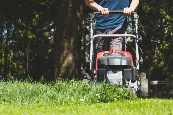 Garden Trimming Service in Turlock