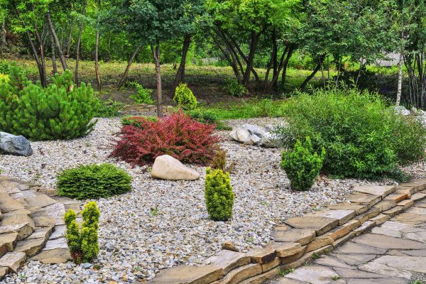Hardscape Landscaping in Turlock