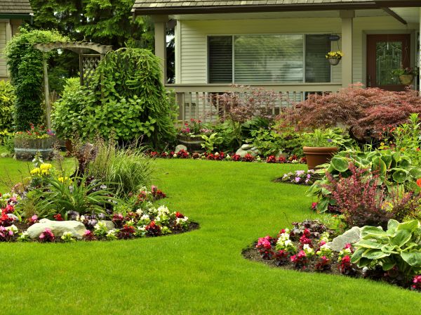 Flower Garden Planting in Turlock
