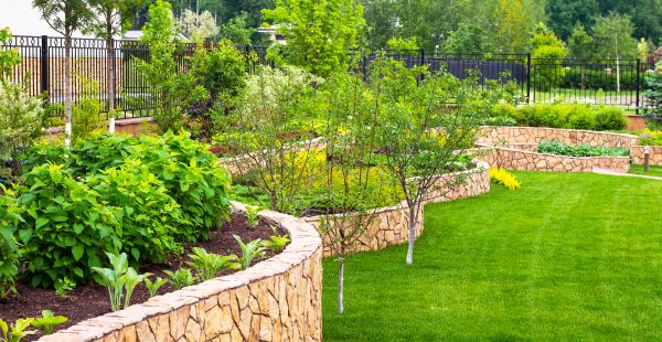 Yard Makeover Service in Turlock