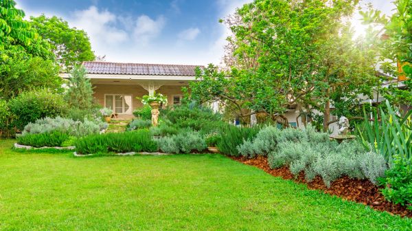 Greenery Planting in Turlock