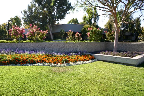 Commercial Landscape Service in Turlock