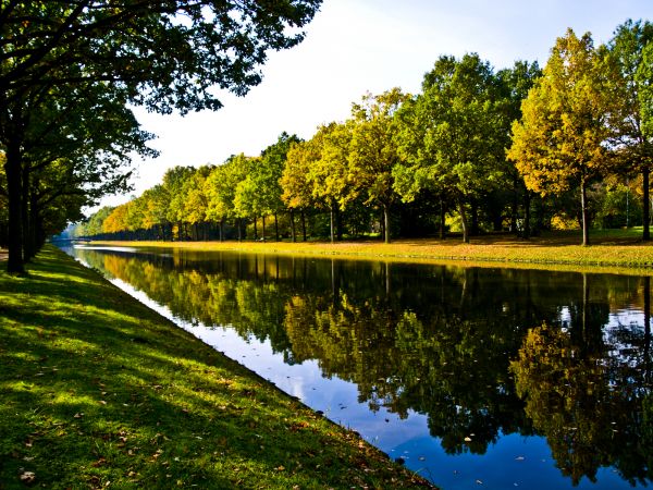 Bank Landscaping in Turlock