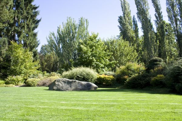 Yard Enlargement in Turlock