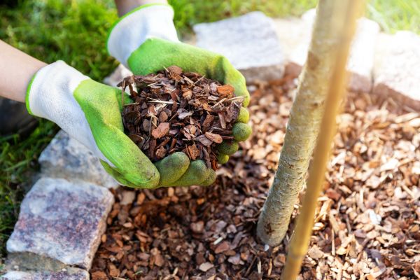 Tree Bark Delivery in Turlock