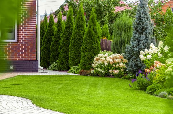 Spring Landscaping in Turlock