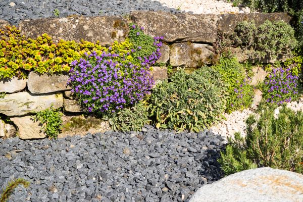 Landscaping Rocks Installation in Turlock