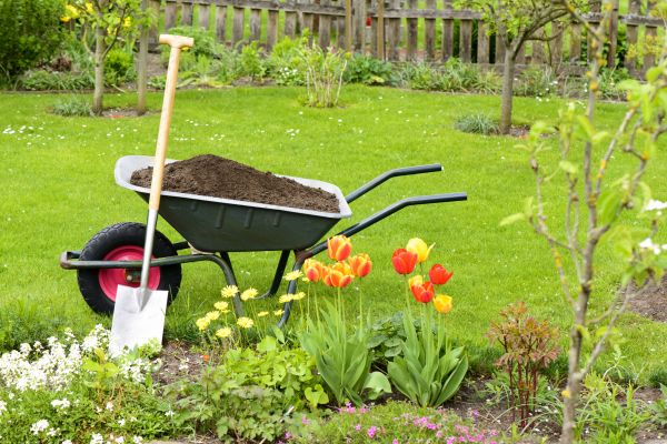 Spring Yard Renovation in Turlock