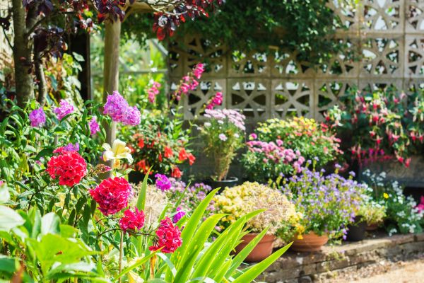 Spring Garden Maintenance in Turlock