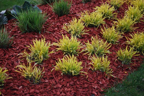 Red Mulch Installation in Turlock