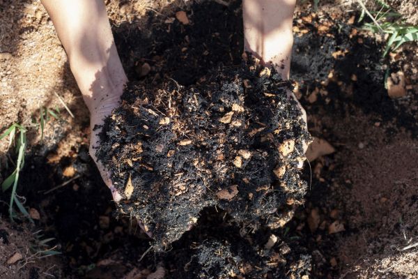 Organic Mulch Installation in Turlock