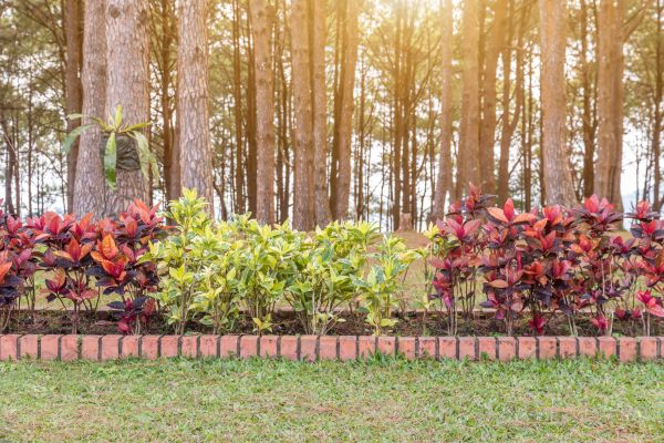 Small Garden Landscaping in Turlock